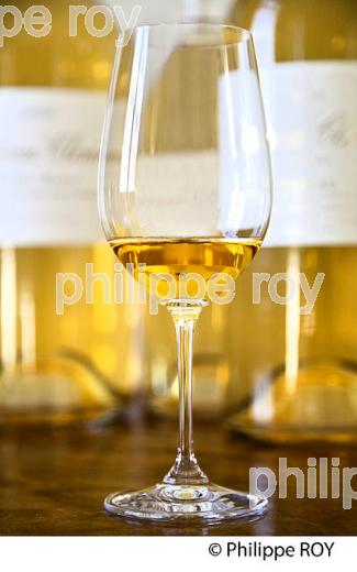 DEGUSTATION VIN LIQUOREUX, CHATEAU CLIMENS, 1ER GRAND CRU CLASSE,  BARSAC, VIGNOBLE DE BARSAC SAUTERNES , GIRONDE (33V48102.jpg)