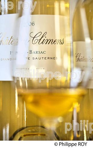 DEGUSTATION VIN LIQUOREUX, CHATEAU CLIMENS, 1ER GRAND CRU CLASSE,  BARSAC, VIGNOBLE DE BARSAC SAUTERNES , GIRONDE (33V48103.jpg)