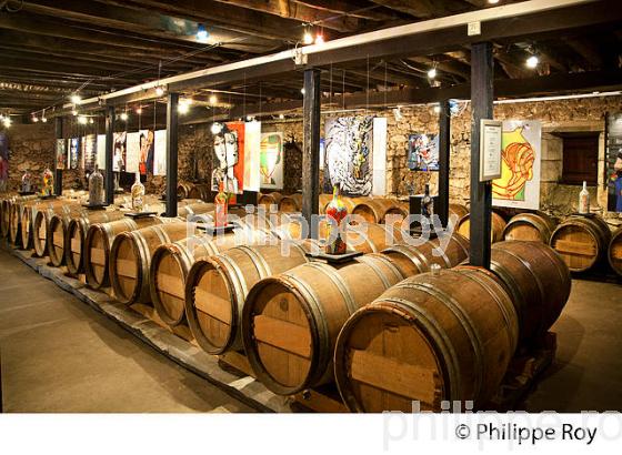 EXPOSITION DU PEINTRE FLICKINGER, CHAI DU CHATEAU GRAVAS, VIN AOC  BARSAC SAUTERNES , BARSAC,  GIRONDE. (33V48126.jpg)