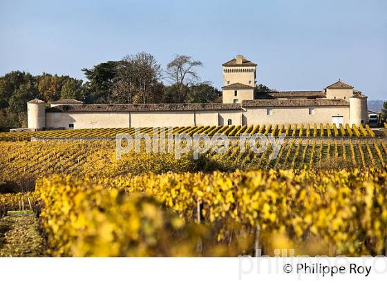 CHATEAU LAFAURIE-PEYRAGUEY,  VIN AOC  SAUTERNES, HOTEL RESTAURANT LALIQUE , GIRONDE. (33V48136.jpg)