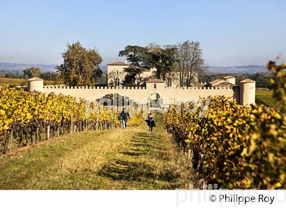 CHATEAU LAFAURIE-PEYRAGUEY,  VIN AOC  SAUTERNES, HOTEL RESTAURANT LALIQUE , GIRONDE. (33V48138.jpg)