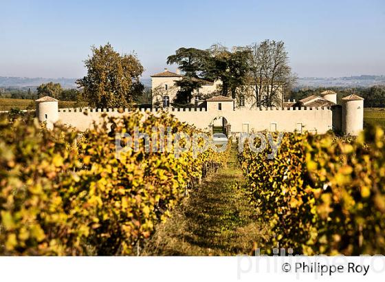CHATEAU LAFAURIE-PEYRAGUEY,  VIN AOC  SAUTERNES, HOTEL RESTAURANT LALIQUE , GIRONDE. (33V48139.jpg)