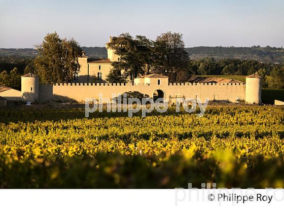 CHATEAU LAFAURIE-PEYRAGUEY,  VIN AOC  SAUTERNES, HOTEL RESTAURANT LALIQUE , GIRONDE. (33V48201.jpg)