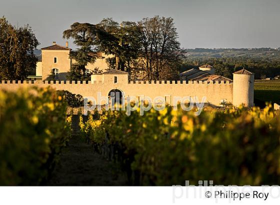 CHATEAU LAFAURIE-PEYRAGUEY,  VIN AOC  SAUTERNES, HOTEL RESTAURANT LALIQUE , GIRONDE. (33V48202.jpg)