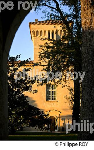 CHATEAU LAFAURIE-PEYRAGUEY,  VIN AOC  SAUTERNES, HOTEL RESTAURANT LALIQUE , GIRONDE. (33V48204.jpg)