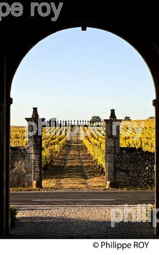 CHATEAU LAFAURIE-PEYRAGUEY,  VIN AOC  SAUTERNES, HOTEL RESTAURANT LALIQUE , GIRONDE. (33V48207.jpg)