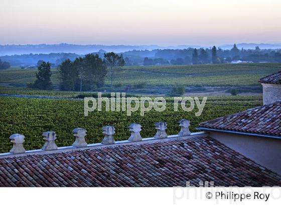 CHATEAU LAFAURIE-PEYRAGUEY,  VIN AOC  SAUTERNES, HOTEL RESTAURANT LALIQUE , GIRONDE. (33V48213.jpg)