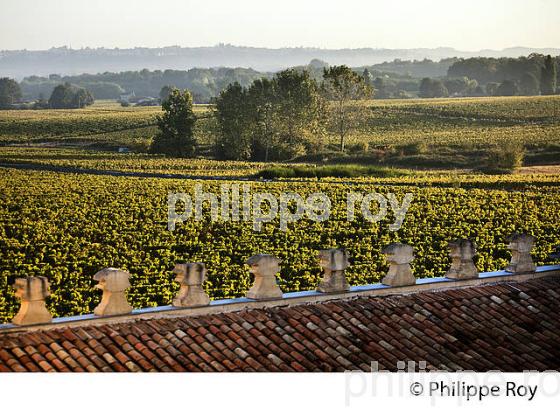 CHATEAU LAFAURIE-PEYRAGUEY,  VIN AOC  SAUTERNES, HOTEL RESTAURANT LALIQUE , GIRONDE. (33V48214.jpg)