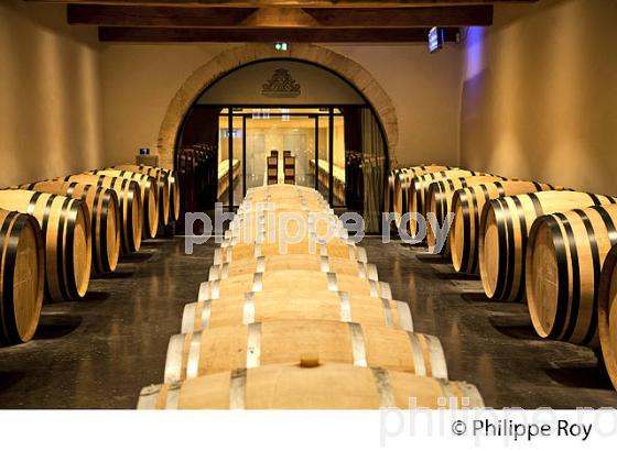 CHAI A BARRIQUES,   CHATEAU LAFAURIE-PEYRAGUEY,  VIN AOC  SAUTERNES , GIRONDE. (33V48220.jpg)