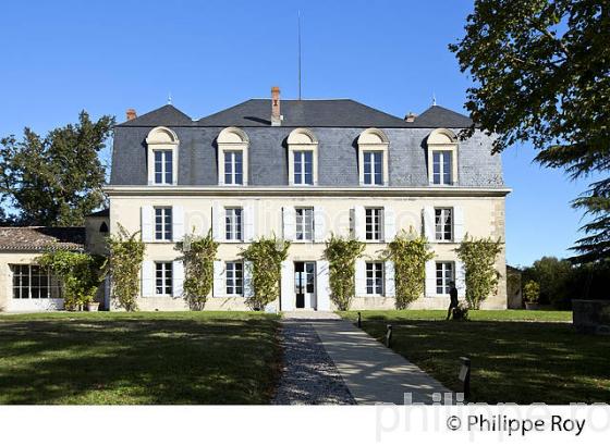 CHATEAU GUIRAUD, 1 ER GRAND CRU CLASSE ,   VIN AOC  SAUTERNES , GIRONDE. (33V48233.jpg)