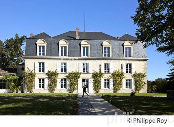 CHATEAU GUIRAUD, 1 ER GRAND CRU CLASSE ,   VIN AOC  SAUTERNES , GIRONDE. (33V48234.jpg)