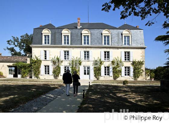 CHATEAU GUIRAUD, 1 ER GRAND CRU CLASSE ,   VIN AOC  SAUTERNES , GIRONDE. (33V48235.jpg)