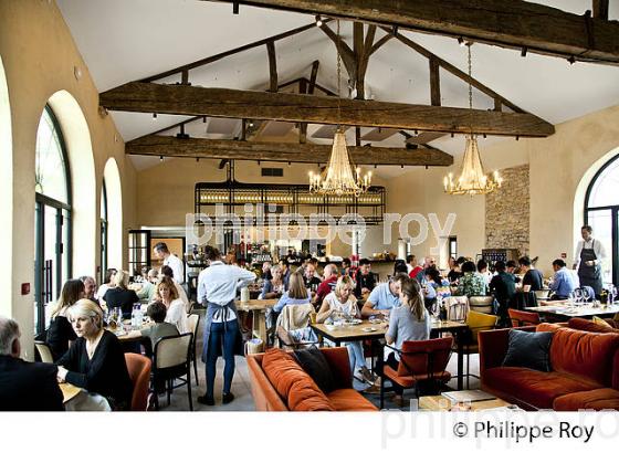 RESTAURANT LA CHAPELLE,  CHATEAU GUIRAUD, ET VIGNOBLE,   VIN AOC  SAUTERNES , GIRONDE. (33V48236.jpg)