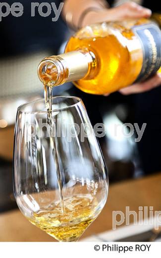 DEGUSTATION, VIN  DU  CHATEAU GUIRAUD, 1 ER GRAND CRU CLASSE,  AOC  SAUTERNES , GIRONDE. (33V48240.jpg)