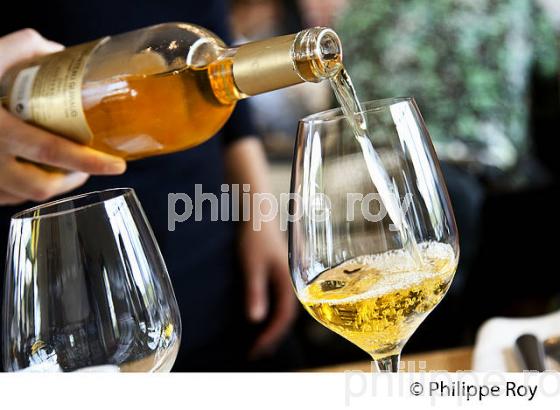 DEGUSTATION, VIN  DU  CHATEAU GUIRAUD, 1 ER GRAND CRU CLASSE,  AOC  SAUTERNES , GIRONDE. (33V48302.jpg)