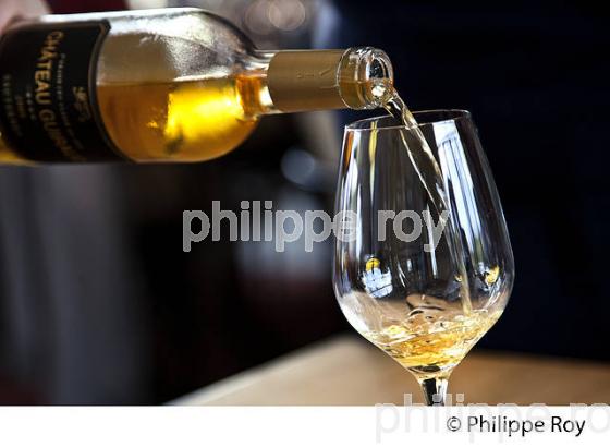 DEGUSTATION, VIN  DU  CHATEAU GUIRAUD, 1 ER GRAND CRU CLASSE,  AOC  SAUTERNES , GIRONDE. (33V48304.jpg)