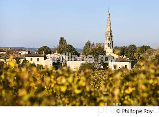 LE VILLAGE DE  SAUTERNES,  ET LE VIGNOBLE DE BARSAC SAUTERNES , GIRONDE (33V48318.jpg)