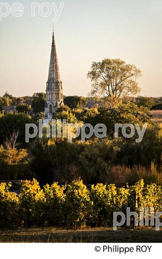 LE VILLAGE DE  SAUTERNES,  ET LE VIGNOBLE DE BARSAC SAUTERNES , GIRONDE (33V48319.jpg)
