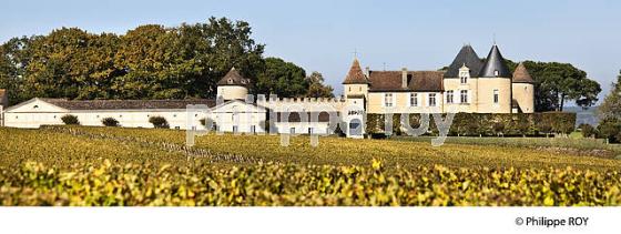 VIGNE ET  CHATEAU D' YQUEM, 1ER GRAND CRU SUPERIEUR ,  ET LE VIGNOBLE  AOC  SAUTERNES , GIRONDE (33V48334.jpg)