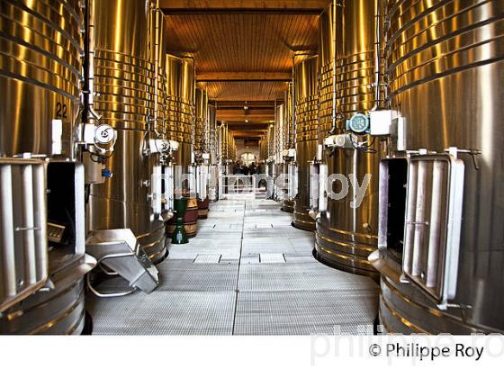CUVIER DE VINIFICATION DU CHATEAU HAUT-BRION, 1ER GRAND CRU CLASSE,  AOC  GRAVES DE PESSAC LEOGNAN , GIRONDE. (33V48418.jpg)