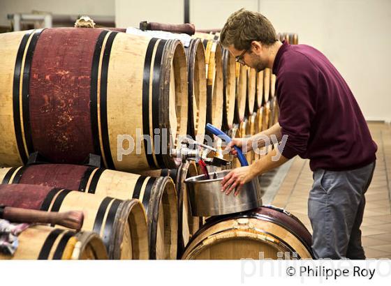 SOUTIRAGE BARRIQUE, VINIFICATION AU  CHATEAU HAUT-BRION, 1ER GRAND CRU CLASSE,  AOC  GRAVES DE PESSAC LEOGNAN , GIRONDE. (33V48432.jpg)