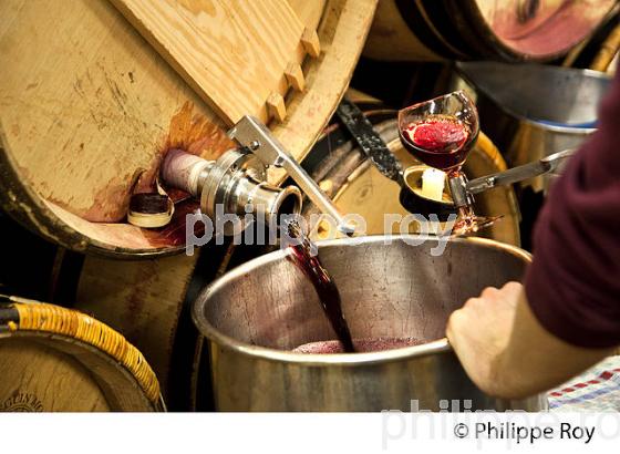 SOUTIRAGE BARRIQUE, VINIFICATION AU  CHATEAU HAUT-BRION, 1ER GRAND CRU CLASSE,  AOC  GRAVES DE PESSAC LEOGNAN , GIRONDE. (33V48434.jpg)