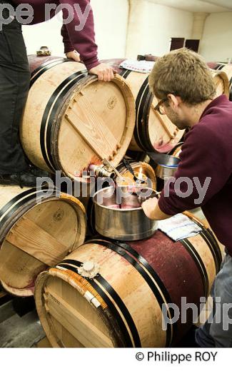 SOUTIRAGE BARRIQUE, VINIFICATION AU  CHATEAU HAUT-BRION, 1ER GRAND CRU CLASSE,  AOC  GRAVES DE PESSAC LEOGNAN , GIRONDE. (33V48435.jpg)