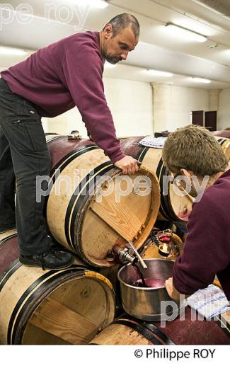 SOUTIRAGE BARRIQUE, VINIFICATION AU  CHATEAU HAUT-BRION, 1ER GRAND CRU CLASSE,  AOC  GRAVES DE PESSAC LEOGNAN , GIRONDE. (33V48436.jpg)
