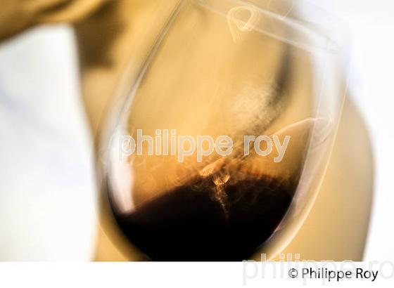 DEGUSTATION, VIN ROUGE , CHATEAU DE L' HOSPITAL, 18 EME SIECLE, AOC VINS DES GRAVES, PORTETS, GIRONDE. (33V48503.jpg)