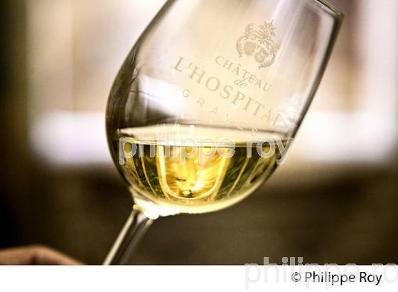 DEGUSTATION, VIN BLANC; CHATEAU DE L' HOSPITAL, 18 EME SIECLE, AOC VINS DES GRAVES, PORTETS, GIRONDE. (33V48504.jpg)