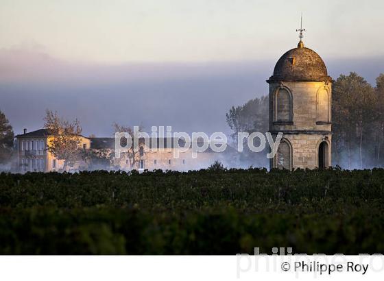 TOUR DU  CHATEAU DE PORTETS, AOC VINS DE GRAVES , VALLEE DE LA GARONNE, PORTETS, GIRONDE. (33V48529.jpg)