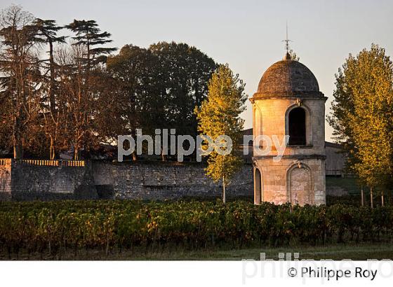 TOUR DU  CHATEAU DE PORTETS, AOC VINS DE GRAVES , VALLEE DE LA GARONNE, PORTETS, GIRONDE. (33V48530.jpg)