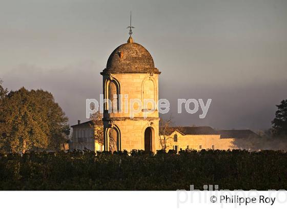 TOUR DU  CHATEAU DE PORTETS, AOC VINS DE GRAVES , VALLEE DE LA GARONNE, PORTETS, GIRONDE. (33V48531.jpg)