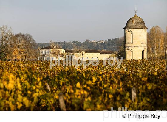 TOUR DU  CHATEAU DE PORTETS, AOC VINS DE GRAVES , VALLEE DE LA GARONNE, PORTETS, GIRONDE. (33V48533.jpg)