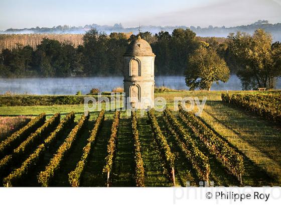 TOUR DU  CHATEAU DE PORTETS, AOC VINS DE GRAVES , VALLEE DE LA GARONNE, PORTETS, GIRONDE. (33V48534.jpg)