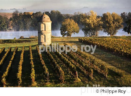 TOUR DU  CHATEAU DE PORTETS, AOC VINS DE GRAVES , VALLEE DE LA GARONNE, PORTETS, GIRONDE. (33V48535.jpg)