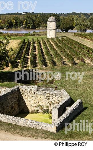 CHATEAU DE PORTETS, AOC VINS DE GRAVES , VALLEE DE LA GARONNE, PORTETS, GIRONDE. (33V48537.jpg)