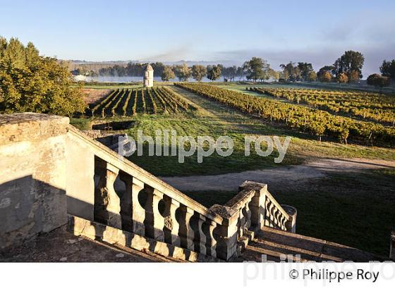 CHATEAU DE PORTETS, AOC VINS DE GRAVES , VALLEE DE LA GARONNE, PORTETS, GIRONDE. (33V48602.jpg)