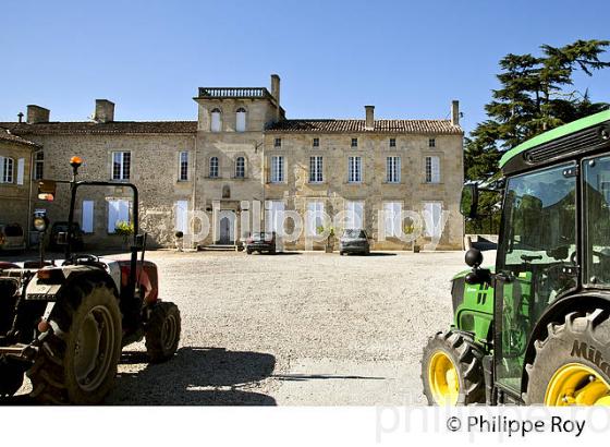 CHATEAU DE PORTETS, AOC VINS DE GRAVES , VALLEE DE LA GARONNE, PORTETS, GIRONDE. (33V48606.jpg)