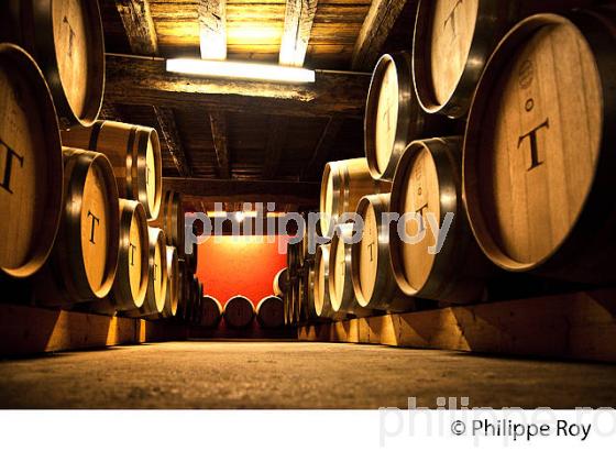 CHAI BARRIQUES,  CHATEAU DE PORTETS, AOC VINS DE GRAVES , PORTETS, GIRONDE. (33V48621.jpg)