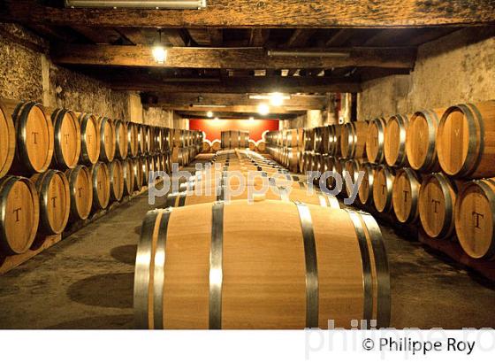 CHAI BARRIQUES,  CHATEAU DE PORTETS, AOC VINS DE GRAVES , PORTETS, GIRONDE. (33V48622.jpg)
