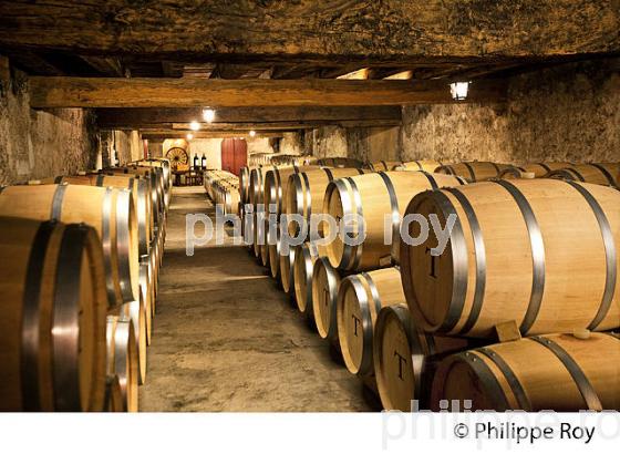 CHAI BARRIQUES,  CHATEAU DE PORTETS, AOC VINS DE GRAVES , PORTETS, GIRONDE. (33V48623.jpg)