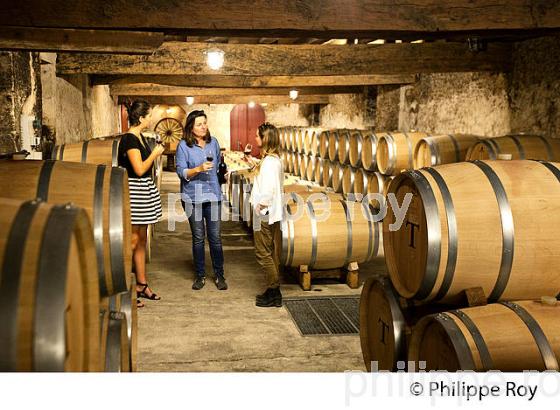 CHAI BARRIQUES,  CHATEAU DE PORTETS, AOC VINS DE GRAVES , PORTETS, GIRONDE. (33V48625.jpg)