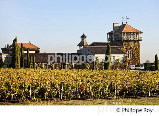 CHATEAU SMITH-HAUT-LAFITTE,  GRAND CRU CLASSE,  AOC  GRAVES DE PESSAC LEOGNAN , GIRONDE. (33V48704.jpg)