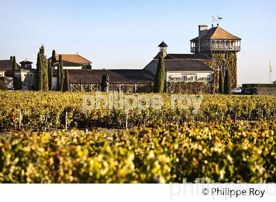 CHATEAU SMITH-HAUT-LAFITTE,  GRAND CRU CLASSE,  AOC  GRAVES DE PESSAC LEOGNAN , GIRONDE. (33V48705.jpg)