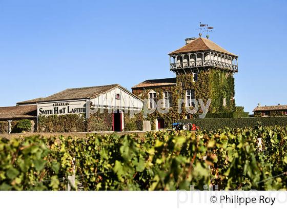 CHATEAU SMITH-HAUT-LAFITTE,  GRAND CRU CLASSE,  AOC  GRAVES DE PESSAC LEOGNAN , GIRONDE. (33V48706.jpg)