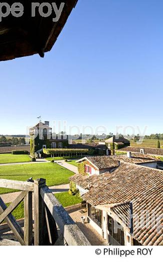 CHATEAU SMITH-HAUT-LAFITTE,  GRAND CRU CLASSE,  AOC  GRAVES DE PESSAC LEOGNAN , GIRONDE. (33V48715.jpg)