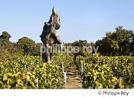 CHATEAU SMITH-HAUT-LAFITTE,  GRAND CRU CLASSE,  AOC  GRAVES DE PESSAC LEOGNAN , GIRONDE. (33V48717.jpg)