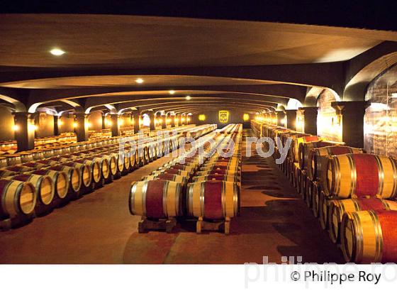 CHAI A BARRIQYUES, CHATEAU SMITH-HAUT-LAFITTE,  GRAND CRU CLASSE,  AOC  GRAVES DE PESSAC LEOGNAN , GIRONDE. (33V48723.jpg)
