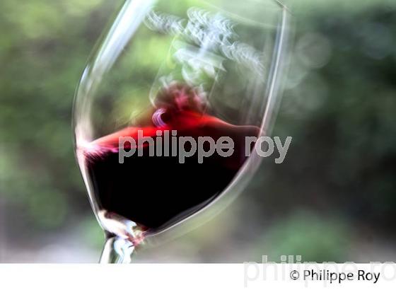 DEGUSTATION, VERRE  DE VIN ROUGE, CHATEAU SMITH-HAUT-LAFITTE,  GRAND CRU CLASSE,  AOC  GRAVES DE PESSAC LEOGNAN , GIRONDE. (33V48727.jpg)